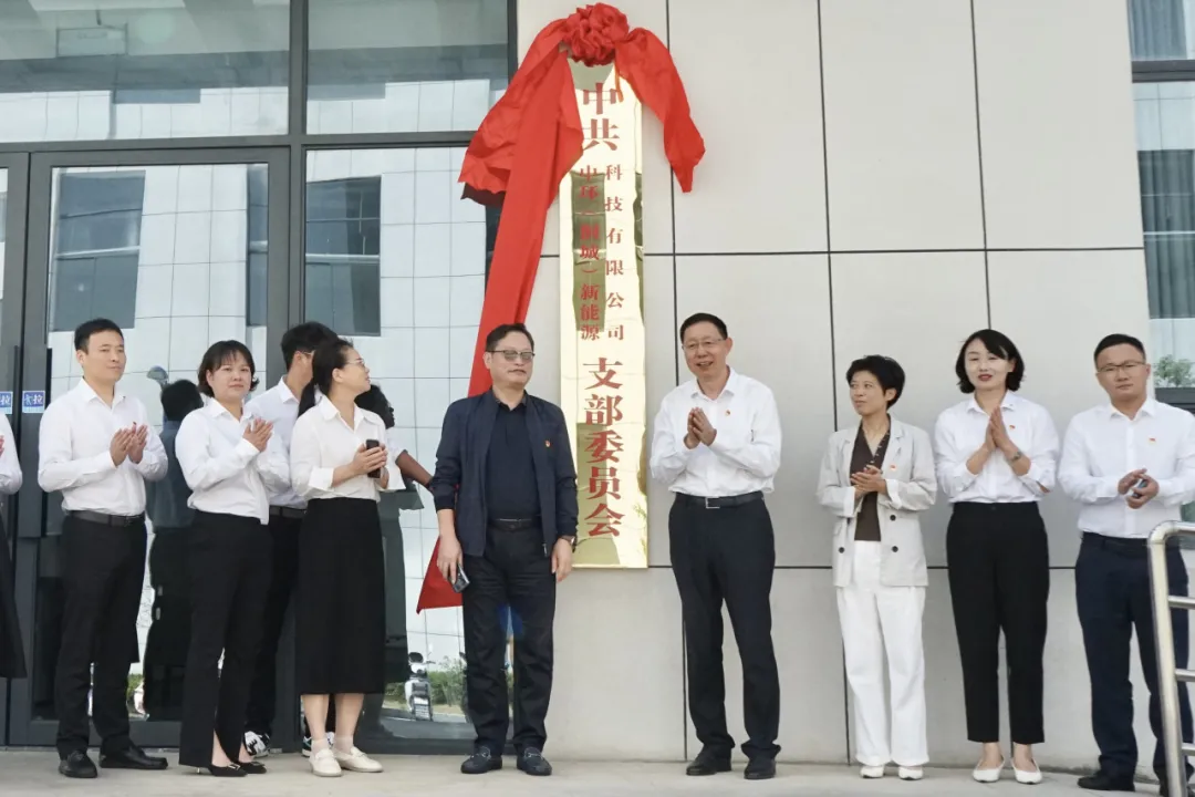 中共中环（桐城）新能源科技有限公司支部委员会成立大会暨揭牌仪式成功举行