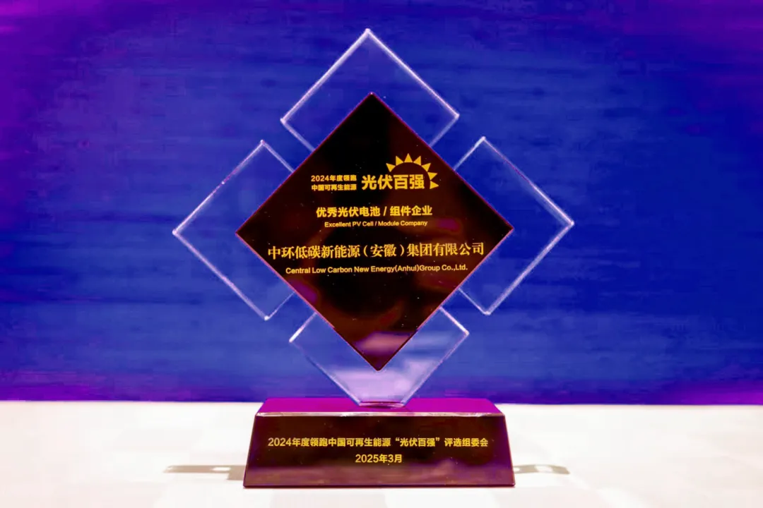 中环新能源（01735.HK）荣获“2024年度领跑中国可再生能源‘光伏百强’”奖项