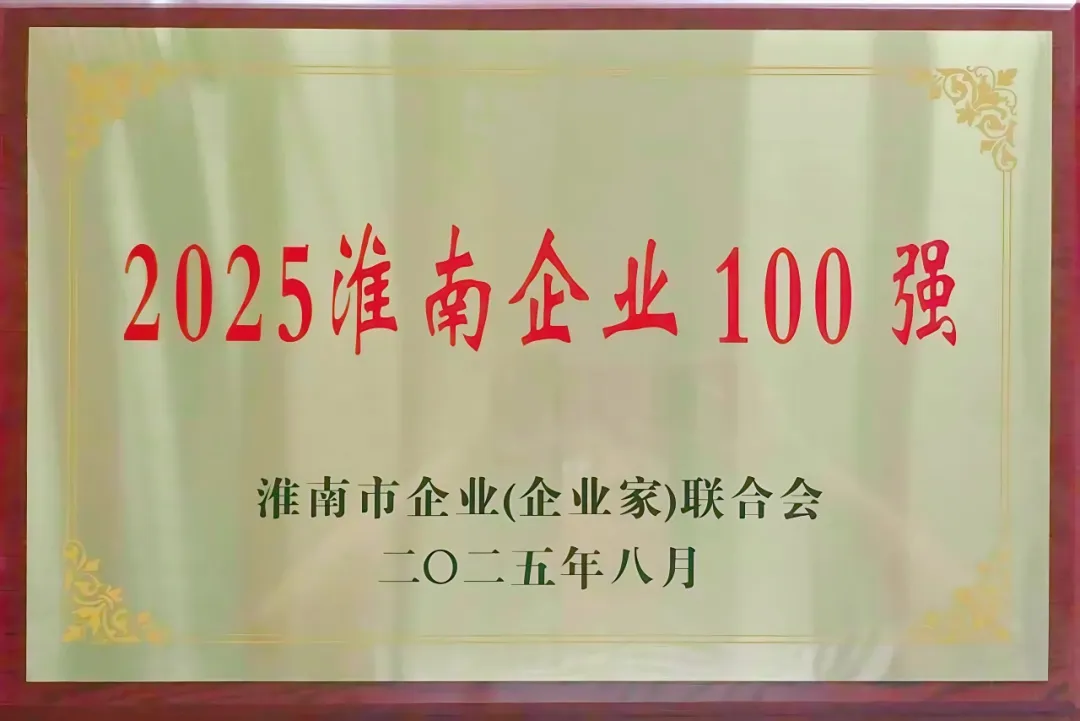 中环新能源（01735.HK）荣获“2025淮南100强企业”