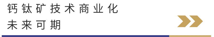 1782738962219075.jpg 5.jpg