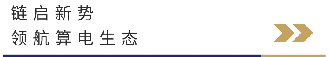 1782742841726326.jpg 13.jpg