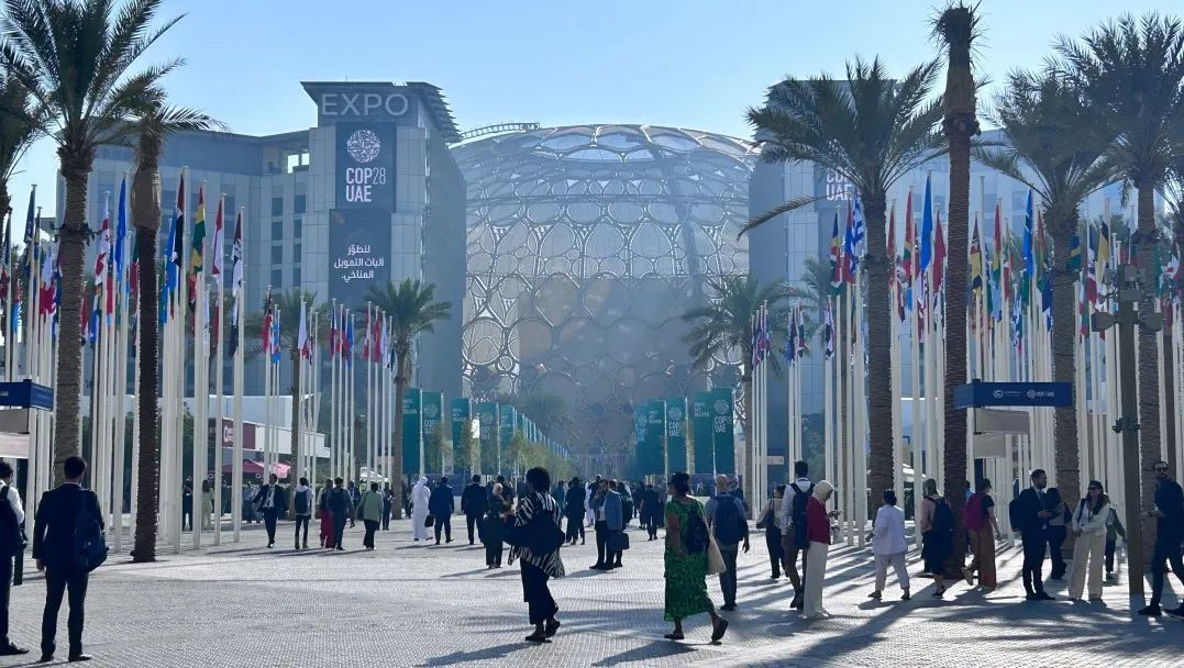 COP28聚焦｜联合国舞台上 中环低碳展现中国新能源创新魅力